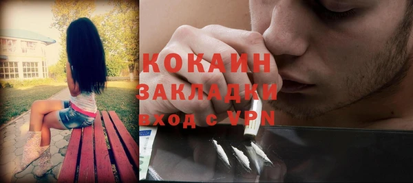 прущие грибы Краснотурьинск
