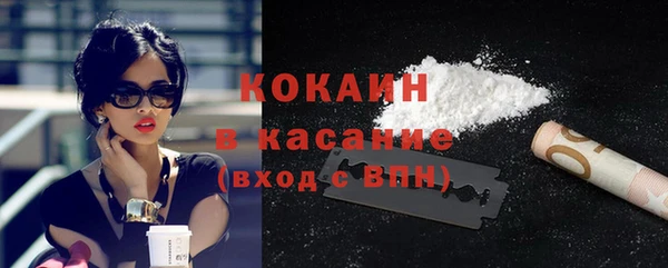 прущие грибы Краснотурьинск