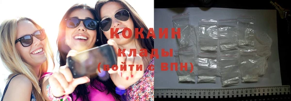 прущие грибы Краснотурьинск