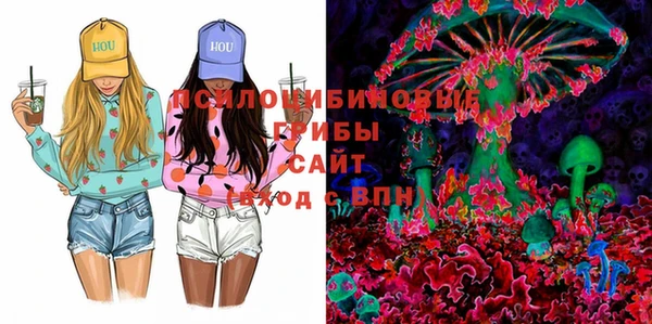 марки lsd Краснослободск