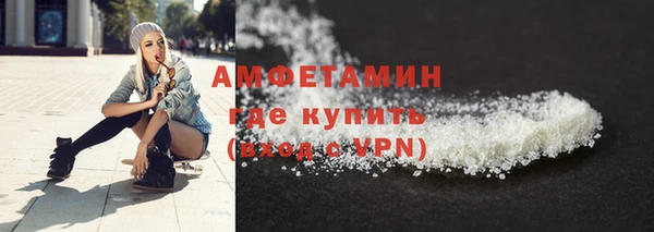 прущие грибы Краснотурьинск
