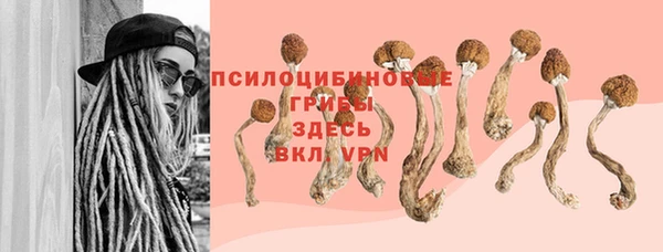 марки lsd Краснослободск