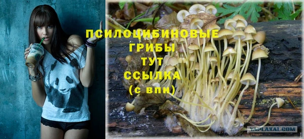 прущие грибы Краснотурьинск