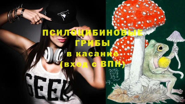 прущие грибы Краснотурьинск