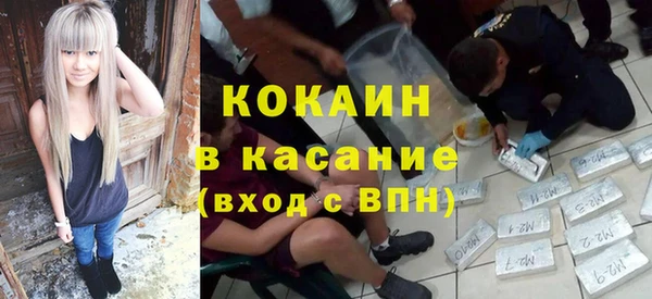 прущие грибы Краснотурьинск