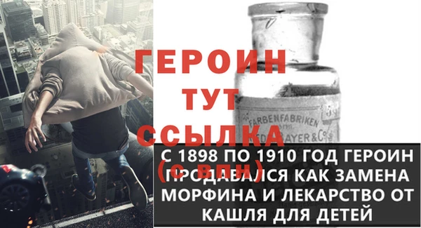 прущие грибы Краснотурьинск
