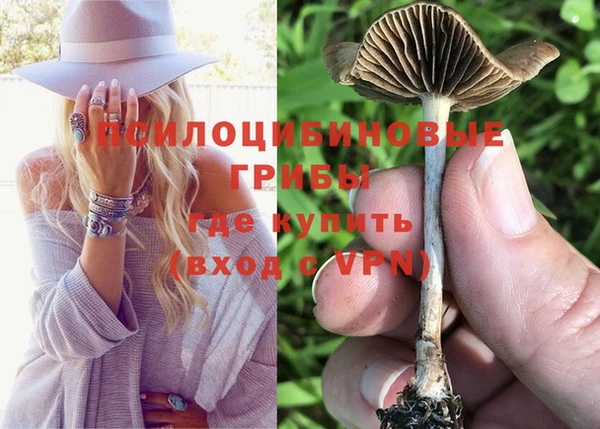 прущие грибы Краснотурьинск