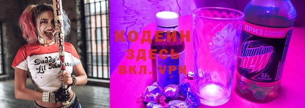 прущие грибы Краснотурьинск