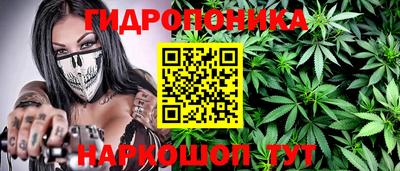 крисы Малгобек