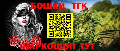 крисы Малгобек
