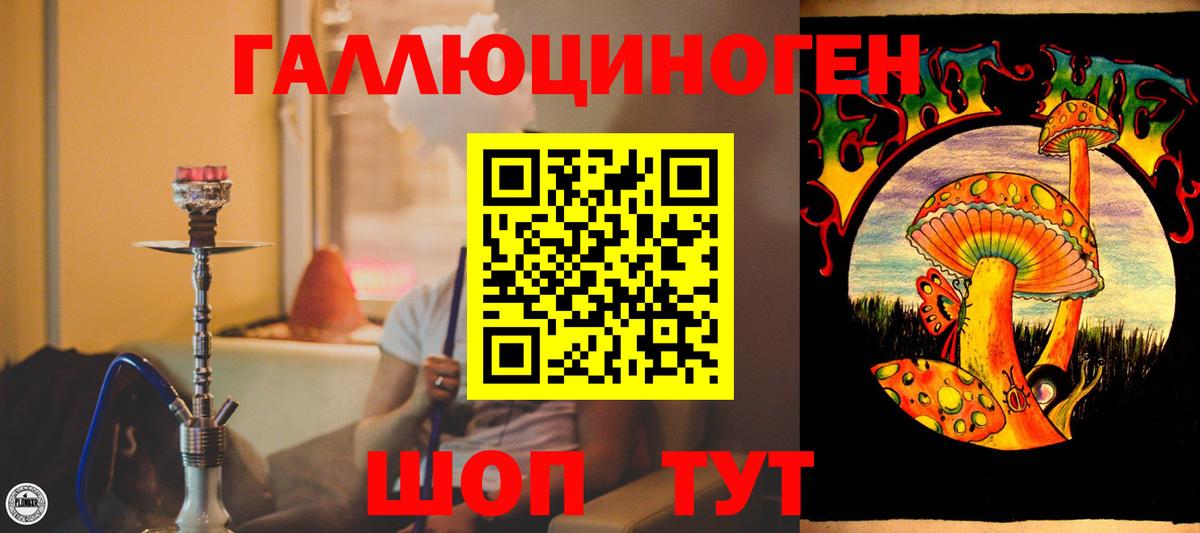 Галлюциногенные грибы Cubensis Благовещенск