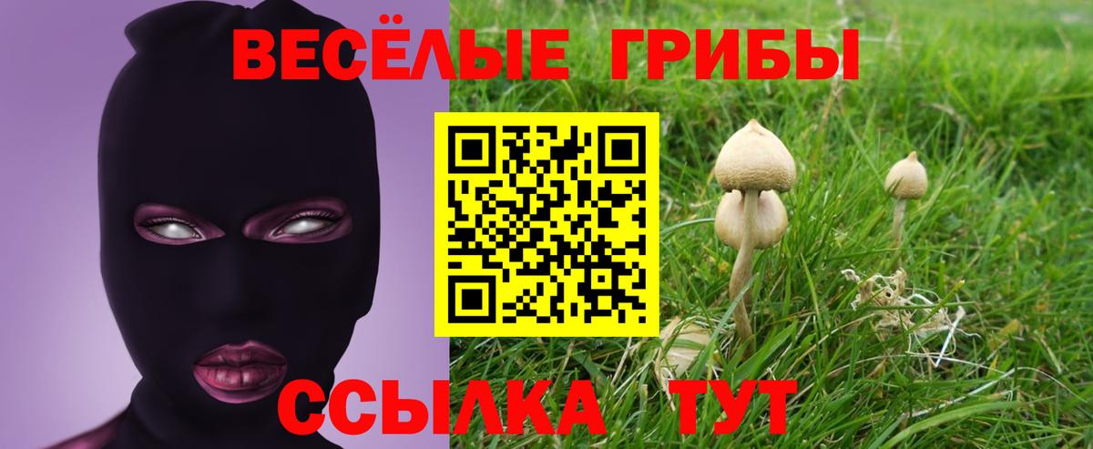 Псилоцибиновые грибы мицелий  Вход с VPN  Благовещенск  Псилоцибиновые грибы Psilocybine cubensis 
